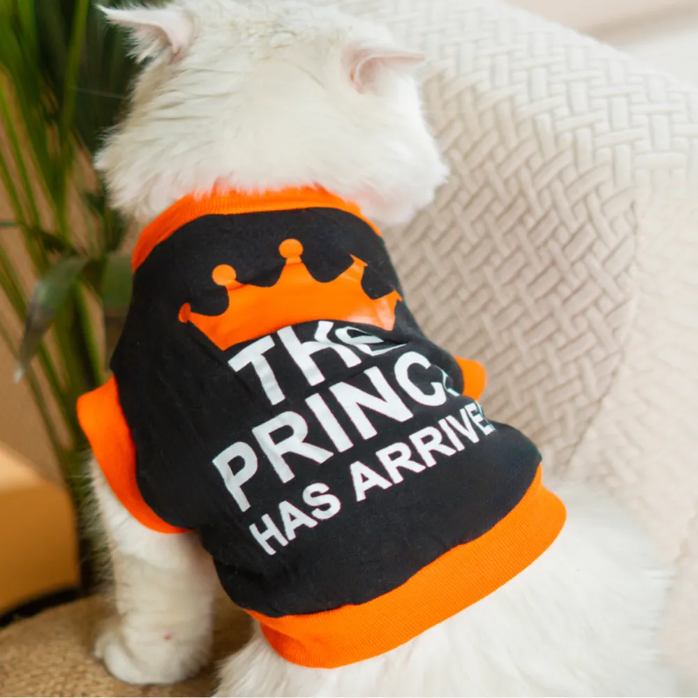 Pet Set Go Prince Has Arrived T-shirt for Cats (Orange/Black)