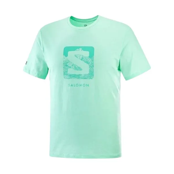 Salomon Mens Outlife Logo Tee