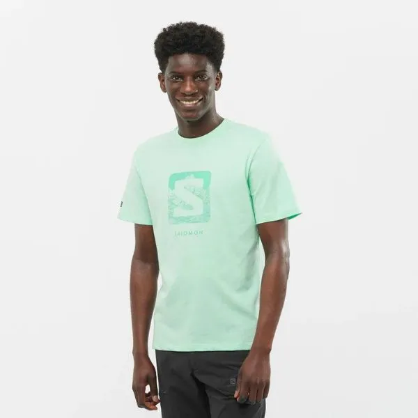 Salomon Mens Outlife Logo Tee