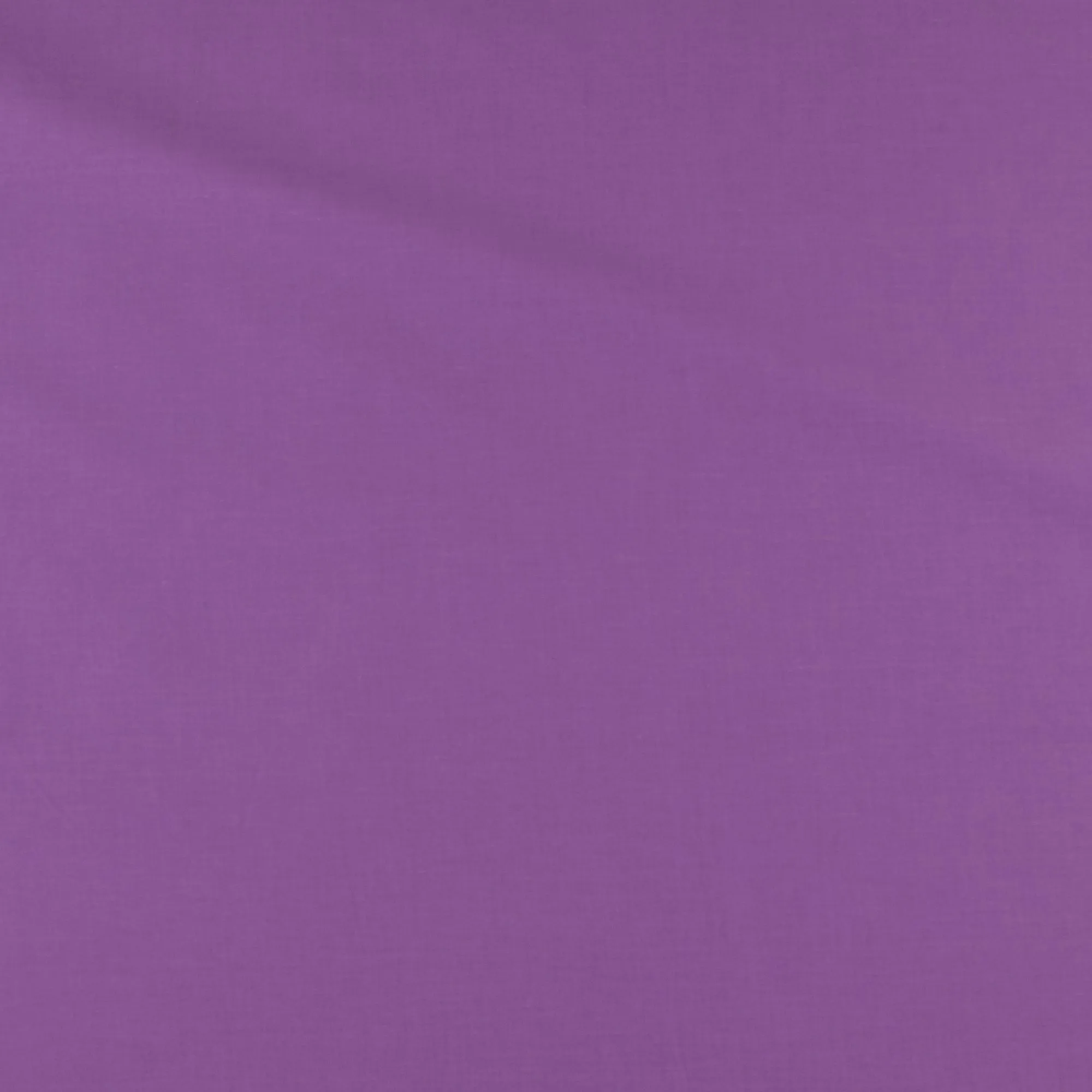 Solid Voile - SILVIA - 006 - Purple